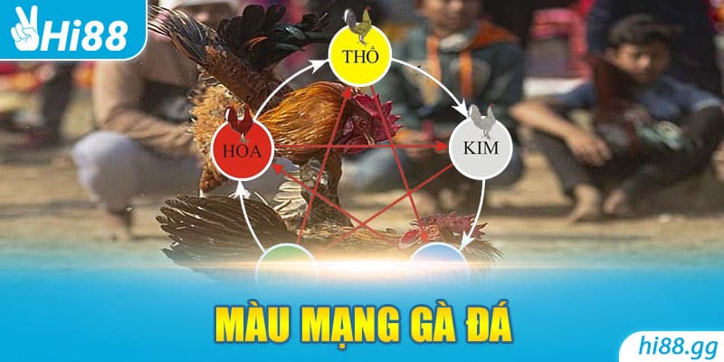 Màu Mạng Gà Đá: Hướng Dẫn Cách Xem Màu Gà Chọi Chuẩn