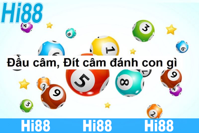 Hướng dẫn cách tính toàn đầu đít câm đánh lô gì bất bại