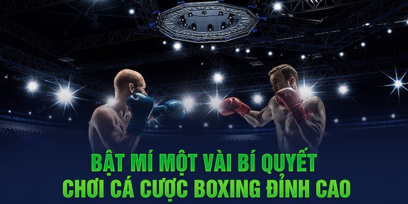 ca-cuoc-boxing-cuoc-xau